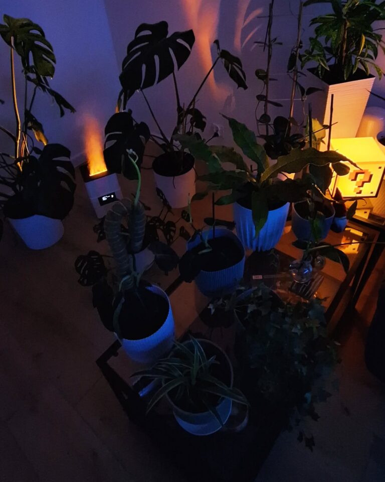 Foto aus der Bewertung