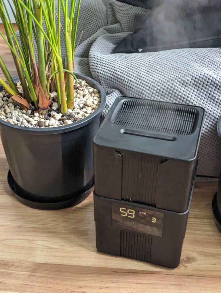 Foto aus der Bewertung