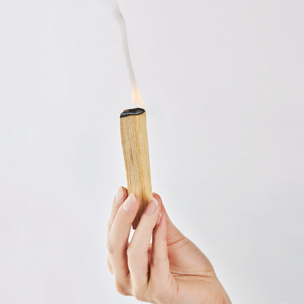 Palo Santo Set - Premium Reinigungsstärke