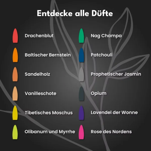 Rückfluss Räucherkegel Geheimnis der Patchouli 30 Stück.