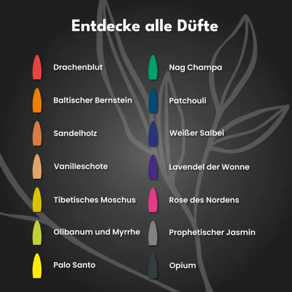Rückfluss Räucherkegel Weißer Salbei 30 Stk.