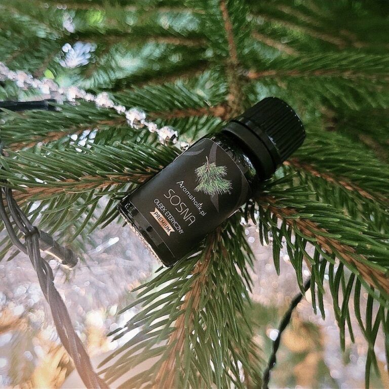 Foto aus der Bewertung