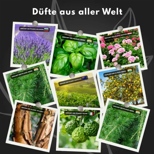Blütenöl-Set Plus