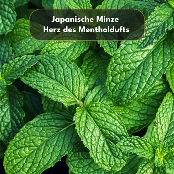 Kristallmenthol 40g
